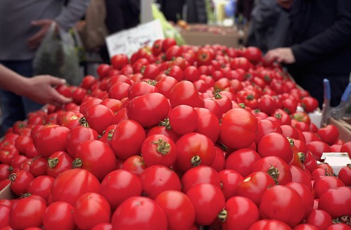 Farmer's Markets Near Rochester, MN