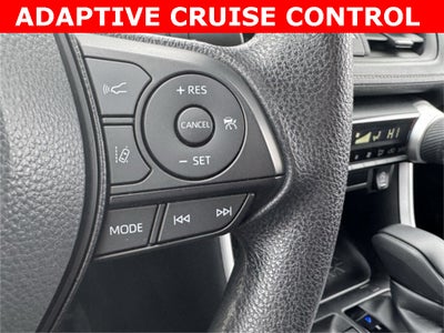 2025 Toyota RAV4 XLE AWD