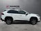 2024 Toyota RAV4 XLE AWD