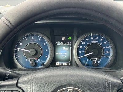 2019 Toyota Sienna XLE 7 Passenger