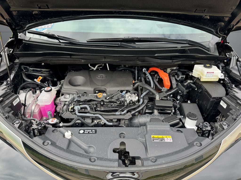 2026 Toyota Sienna Platinum 7 Passenger