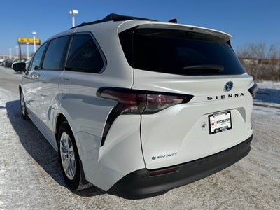 2025 Toyota Sienna XLE 7 Passenger
