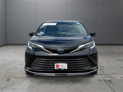 2023 Toyota Sienna Limited 7 Passenger