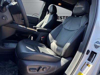 2025 Toyota Sienna Limited 7 Passenger
