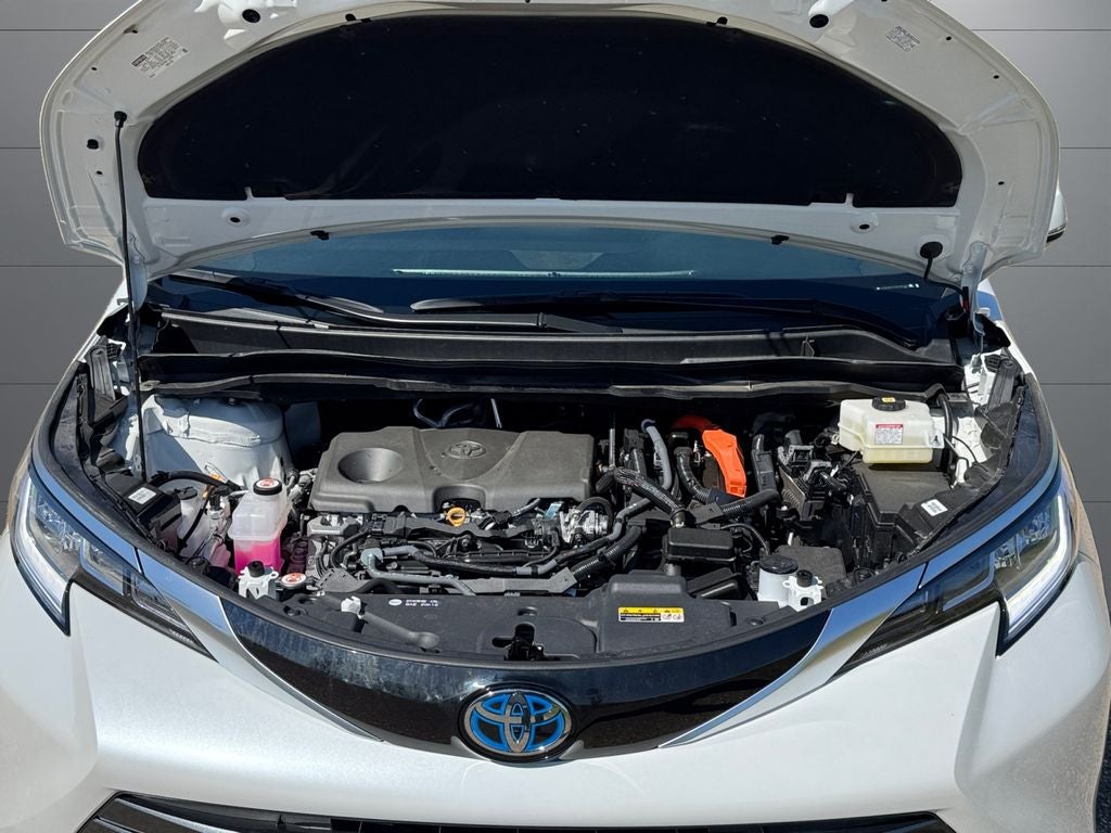 2025 Toyota Sienna Limited 7 Passenger