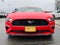 2021 Ford Mustang EcoBoost Premium w/ Adaptive Cruise Control