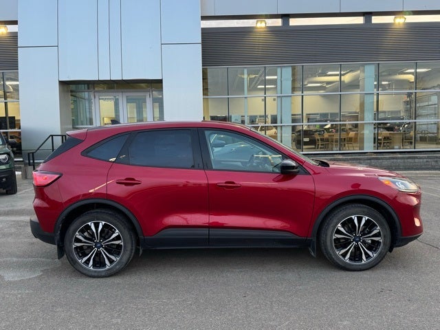 2022 Ford Escape SE Hybrid w/ Heated Steering Wheel + Power Liftgate