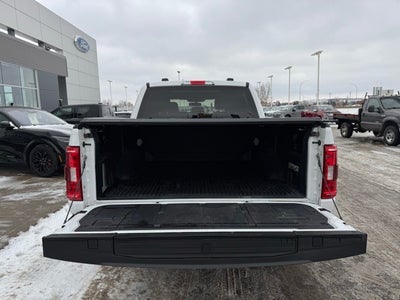 2023 Ford F-150 XLT w/ Twin Panel Moonroof + 360 Camera