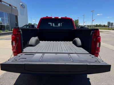 2023 Ford F-150 XLT w/ 6.5' Box