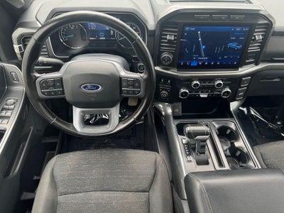 2023 Ford F-150 XLT w/ 6.5' Box + Trailer Tow Package